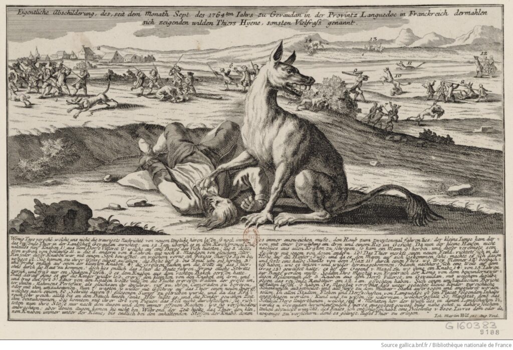 Très ancienne illustration de la bête du Gévaudan. Au premier plan, on voit une sorte de loup assis, dominant le corps d'un homme. Dans le fond, plusieurs scènes où l'on voit le loup à l’œuvre, ou en train de se faire chasser.